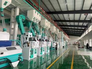 日加工150吨大米成套机组